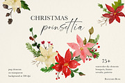 Watercolor Christmas Poinsettia, an Illustration by Backyard Rose (Thumbnail 1 of 11)