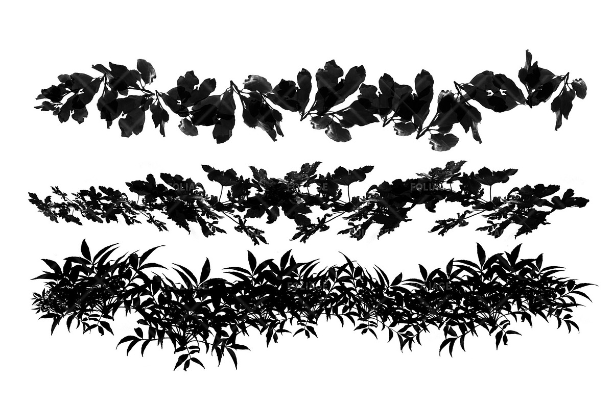 Foliage 2 Brush Set, a Brush Add-On by Zsolt Kosa Art (Photo 5 of 8)