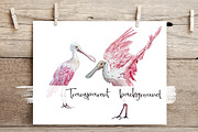 Roseate Spoonbill - Watercolor Print, an Illustration by Tati Bordiu (Thumbnail 2 of 4)