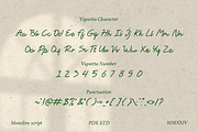 Vignetta - Casual Script Monoline, a Script Font by Pandeka Studio (Thumbnail 9 of 9)