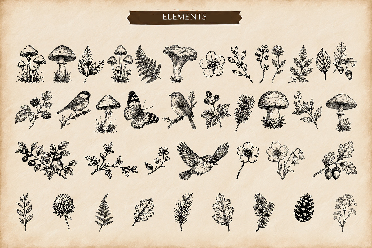 Woodland Ink Illustration Bundle, a Decorative Illustration by Dervik Art Store (Photo 3 of 10)
