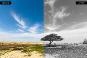 Black & White Lightroom Presets, an Action Add-On by Shutter Pulse (Thumbnail 5 of 5)