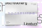 Moldr (Complete Family), a Sans Serif Font by Deltatype (Thumbnail 3 of 7)