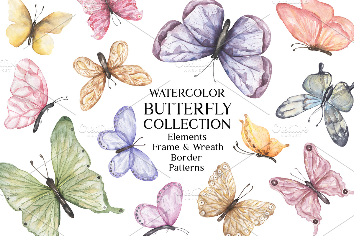 Watercolor Butterfly Collection, a Decorative Illustration by MayaNavits (Photo 1 of 15)