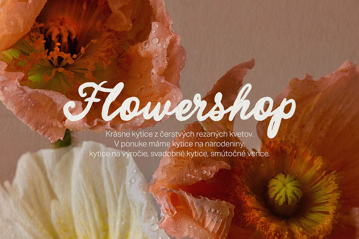Charming Letters – Elegant Font, a Handwritten Font by BilberryCreates (Photo 9 of 14)