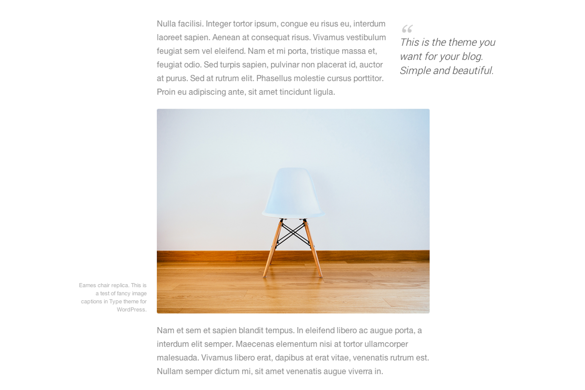 Type Wordpress theme, a WordPress Template by Pixel Revel (Photo 4 of 5)