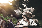 10 Vintage Forever Lightroom Presets, a Preset Add-On by LucaTheme (Thumbnail 8 of 9)