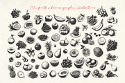 275+ Fruits & Berries Illustrations, a Food Illustration by La Petite Line Art (Thumbnail 3 of 11)