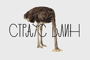 Dulya Font, a Sans Serif Font by Viktor Pesotsky | Fonts (Thumbnail 23 of 25)