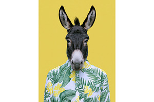 Fashion icon donkey in summer