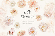 Peach watercolor flowers collection, a Decorative Illustration by Grace Noboa Illustrations (Thumbnail 6 of 10)