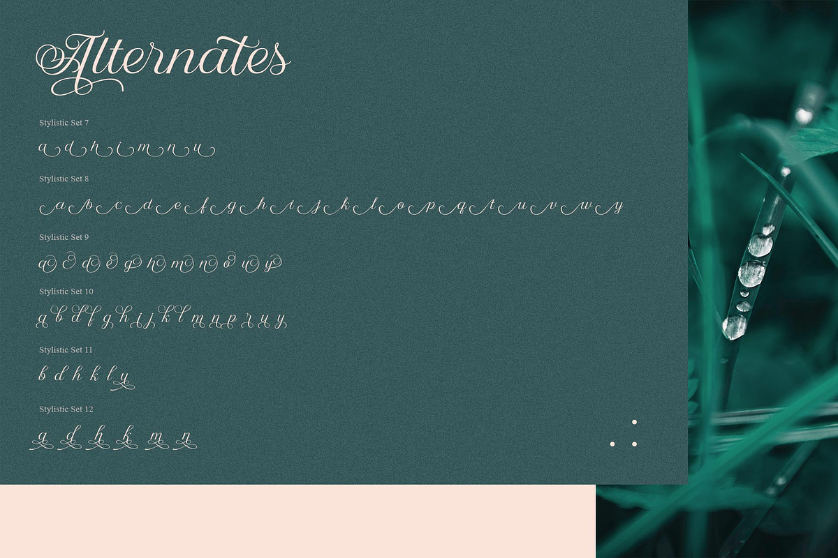 Nandola Typeface, a Script Font by alit design (Photo 14 of 16)