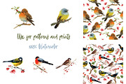 Watercolor forest birds, an Animal Illustration by ivanushka-art (Thumbnail 4 of 5)