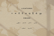 Santtaneck, a Script Font by Integritype Studio (Thumbnail 11 of 15)