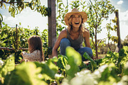 Family working on allotment together, a Person Photo by Jacob Lund (Thumbnail 1 of 4)