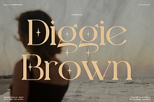 Diggie Brown | Modern Display Serif
