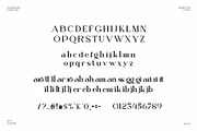 Mettaro Elegant Ligature Serif Font, a Serif Font by Perfectype (Thumbnail 6 of 6)