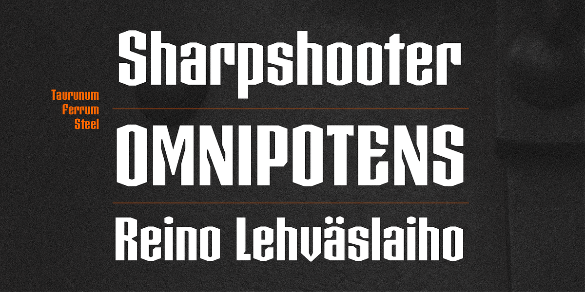 Taurunum Ferrum, a Sans Serif Font by Kostic Type Foundry (Photo 3 of 5)