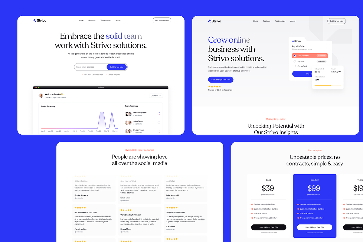 Strivo: Multi-Layout SaaS Figma, an UI Kit Template by FinestDevs (Photo 3 of 4)