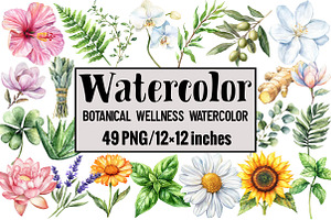 Botanical Wellness Watercolor, an Illustration by Design Market