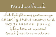 Meadowbrook, a Script Font by Brittney Murphy Design (Thumbnail 3 of 3)