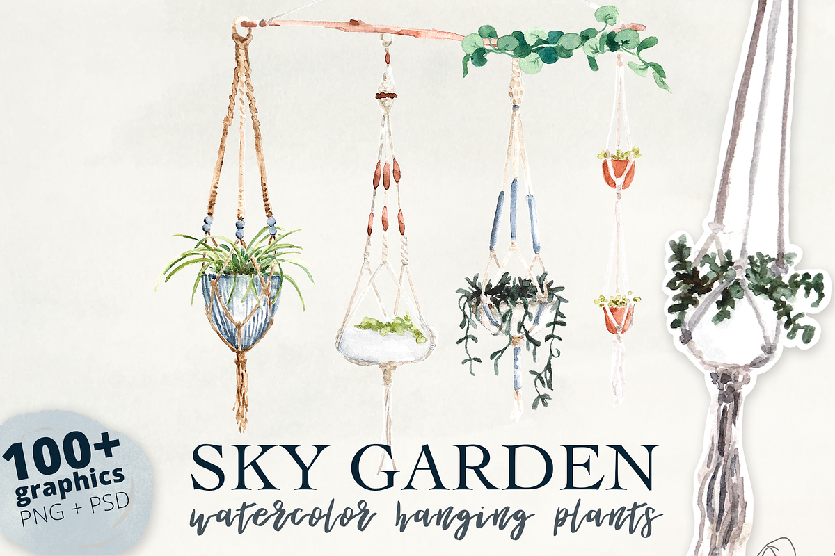 Watercolor Hanging Plant Sky Garden, an Illustration by plaidGecko (Photo 1 of 8)