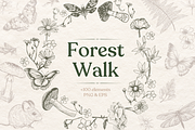Forest Walk, an Animal Illustration by TatianaCociorva (Thumbnail 1 of 6)