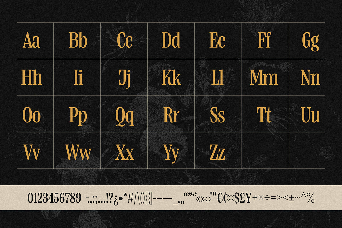 Boldentia, a Serif Font by graphicook (Photo 3 of 10)