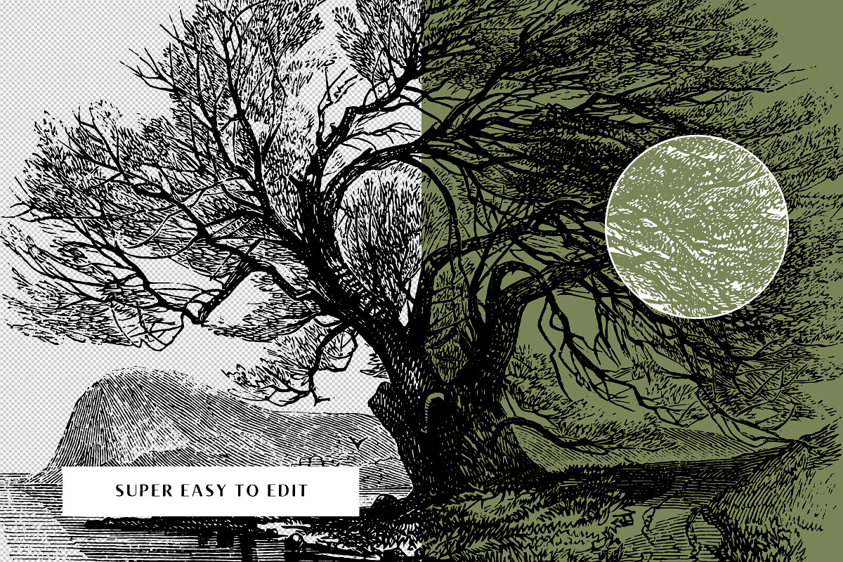 29 Branches, Twigs & Leaves (+Bonus), an Illustration by Century Library (Photo 7 of 8)