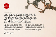 Akira - Zenbrush Script, a Script Font by ikiiko (Thumbnail 7 of 8)
