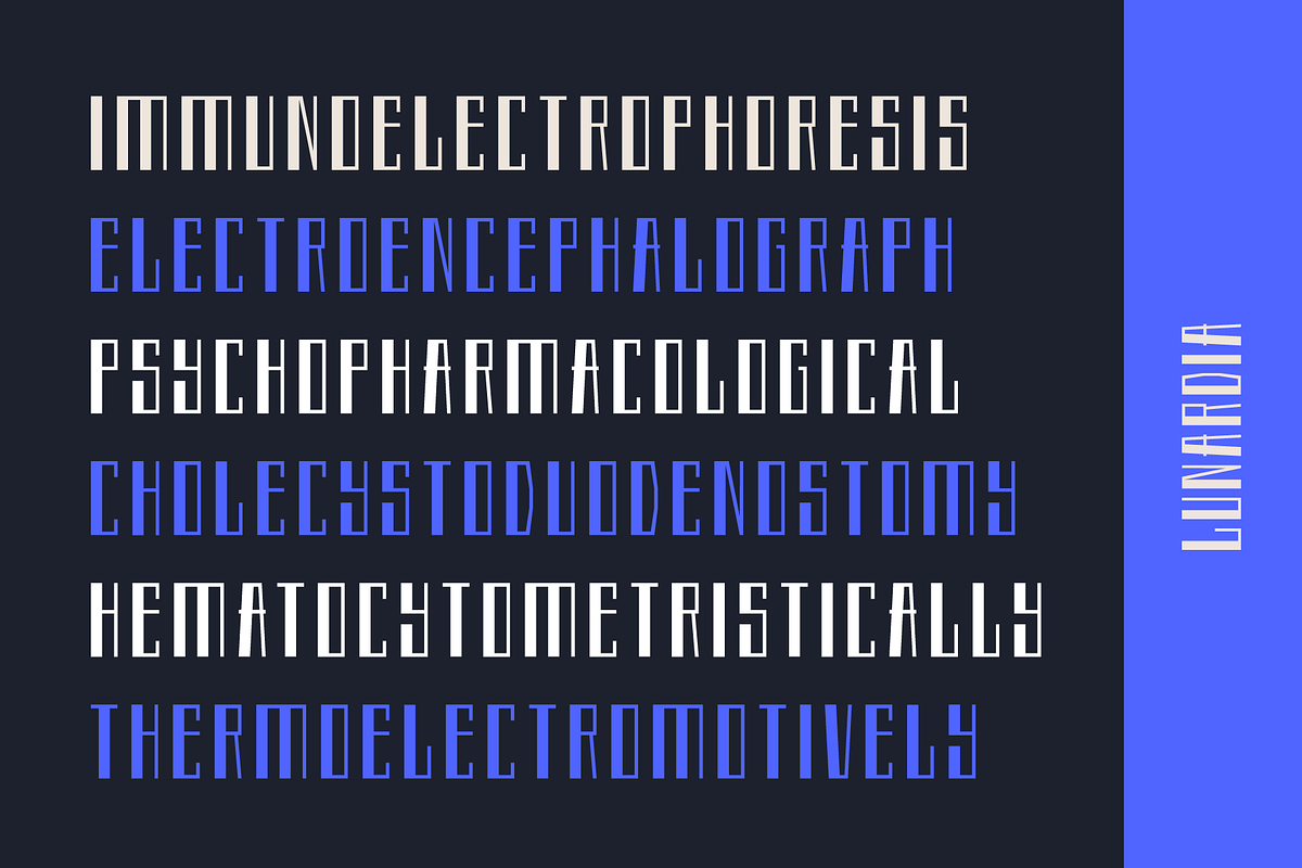 Lunardia Font Family (12 Fonts), a Sans Serif Font by alpercakici (Photo 5 of 18)