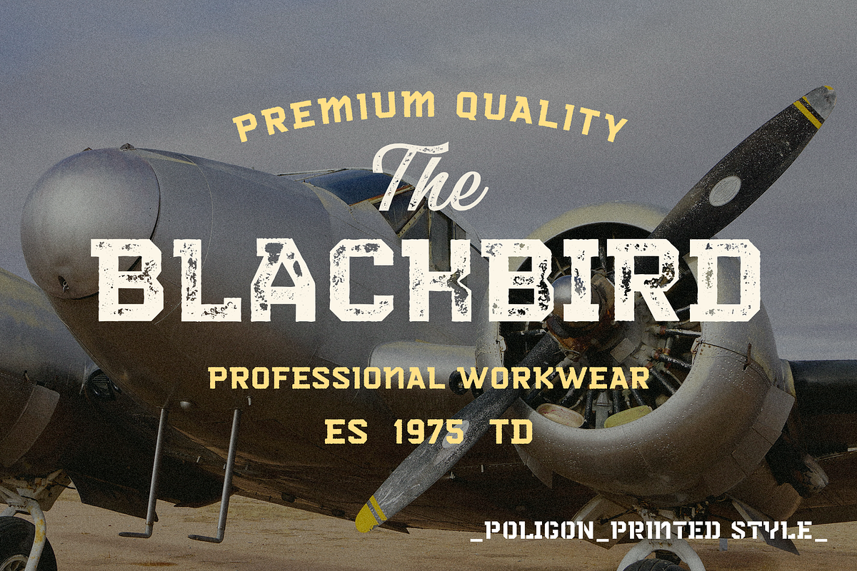 Poligon, a Sans Serif Font by Larin Type Co. (Photo 3 of 10)