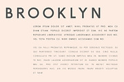 Brooklyn | Two Weight Font Family, a Sans Serif Font by Jen Wagner Co (Thumbnail 3 of 8)