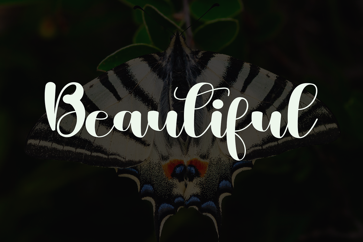 ButterflyTumbler, a Handwritten Font by InermediaSTUDIO (Photo 4 of 8)