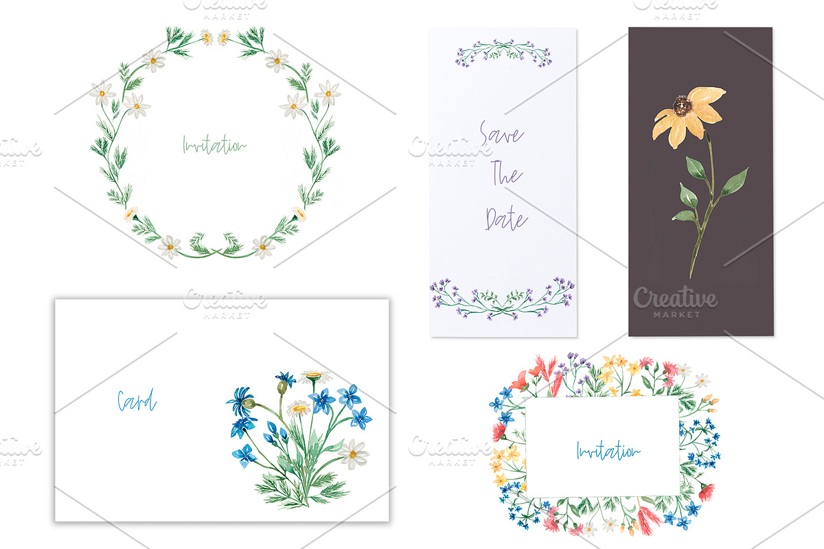 Watercolor Wildflowers Collection, a Decorative Illustration by MayaNavits (Photo 13 of 14)