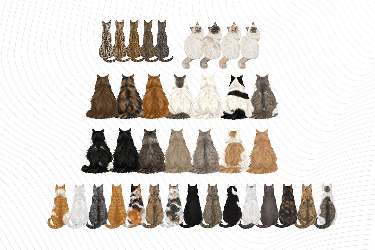 Graduation Girl with Cats Clipart, a Person Illustration by ColorfulPT (Photo 6 of 6)