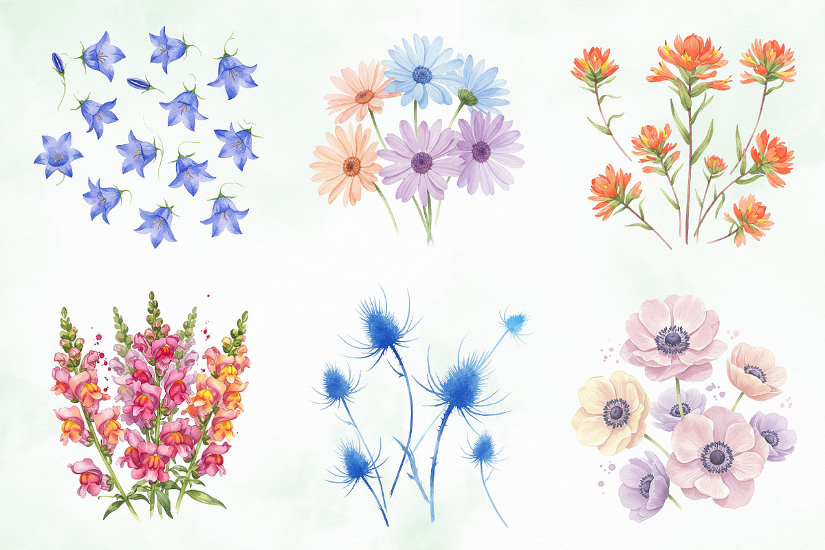 Wild Flowers, Butterflies and Dragon, an Illustration by Creative Art (Photo 7 of 9)
