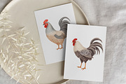 Watercolor chicken clipart, an Object Graphic by MyLittleMeow (Thumbnail 6 of 18)