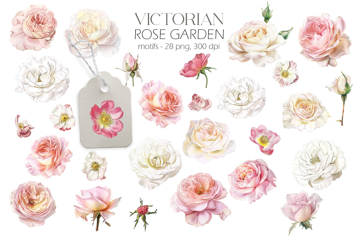 Victorian Rose Garden, an Object Graphic by Elena Dorosh (Photo 5 of 15)