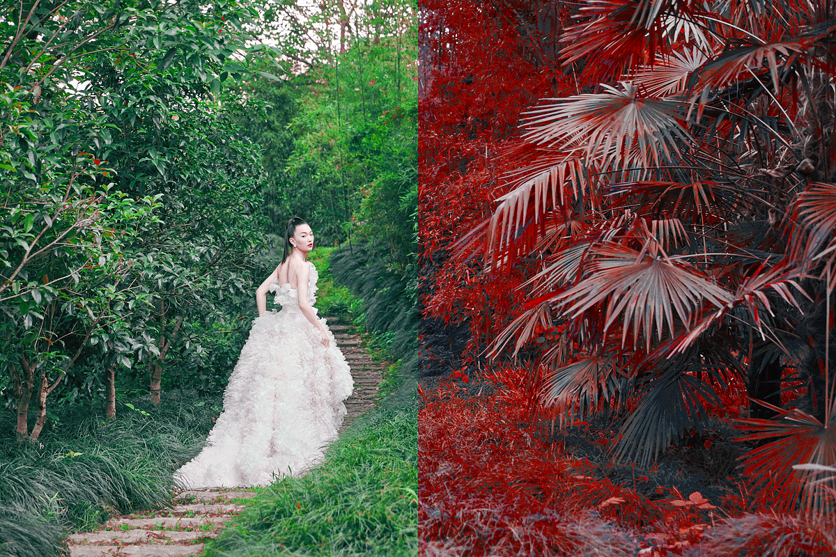 454 Infrared Fantasy Pro LUTs, a Preset Add-On by ShutterPro (Photo 17 of 48)