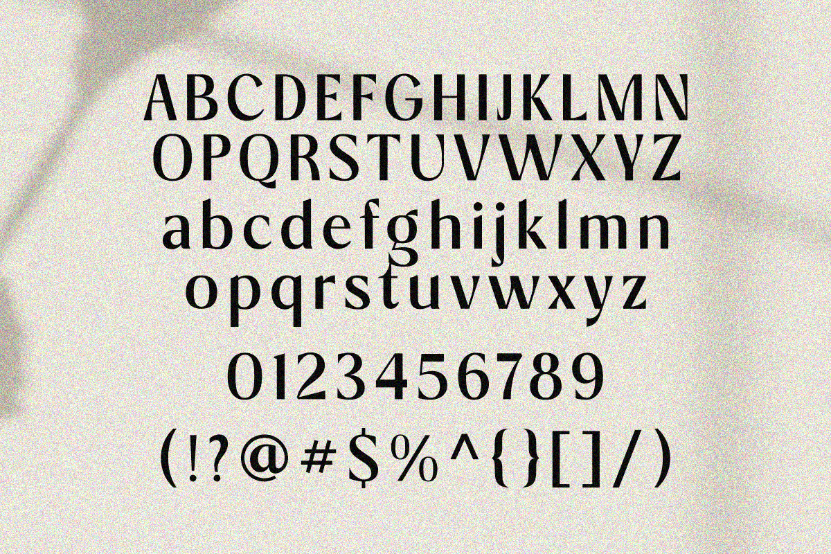 Aveline Chapter, a Sans Serif Font by Zafiratype (Photo 15 of 15)