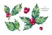 Watercolor Holly Illustrations, a Decorative Illustration by Olga Olmix (Thumbnail 2 of 5)