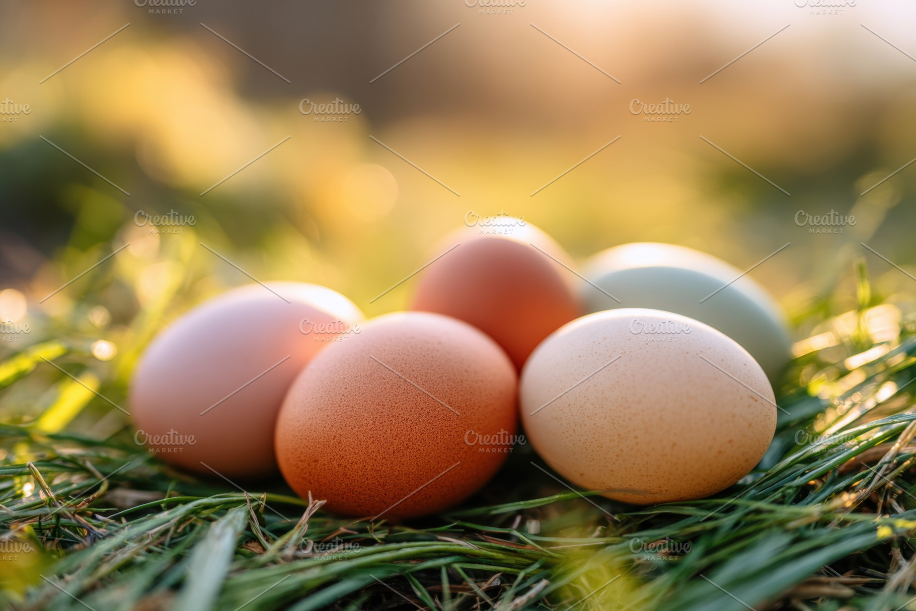 Colorful easter eggs on green grass, a Holiday Photo by AlyaAnd