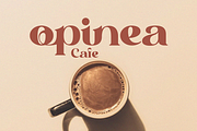 Galinoy - Bold Modern Serif Display, a Serif Font by Qweera Studio (Thumbnail 5 of 12)