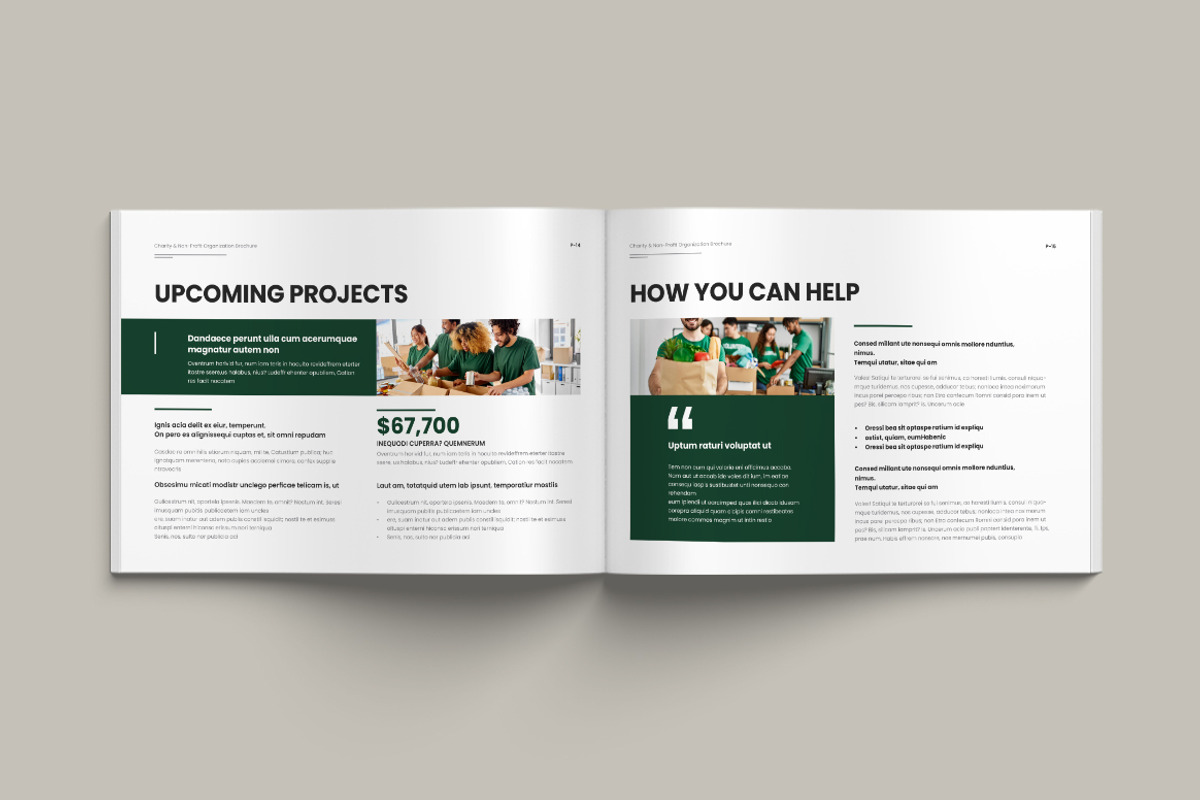 Nonprofit Charity Brochure Landscape, a Brochure Template by Pixelpick (Photo 8 of 9)