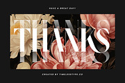 Noresa Modern Editorial Serif, a Serif Font by timelesstype.co (Thumbnail 20 of 20)