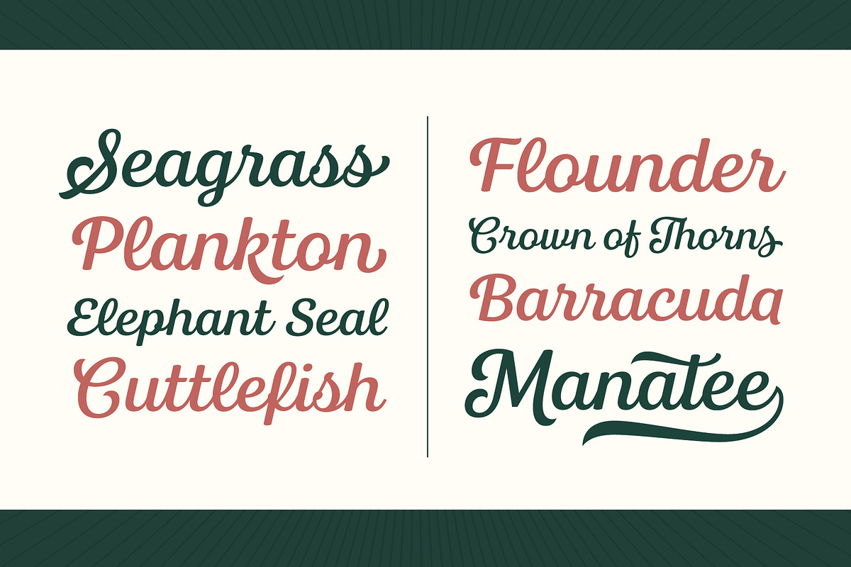 Bluestar Italic, a Font by Mika Melvas (Photo 6 of 10)