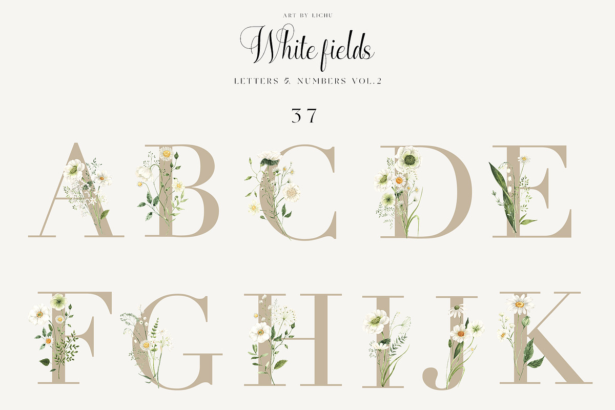 White Fields wildflowers flora, an Education Illustration by LiChu Art (Photo 7 of 12)