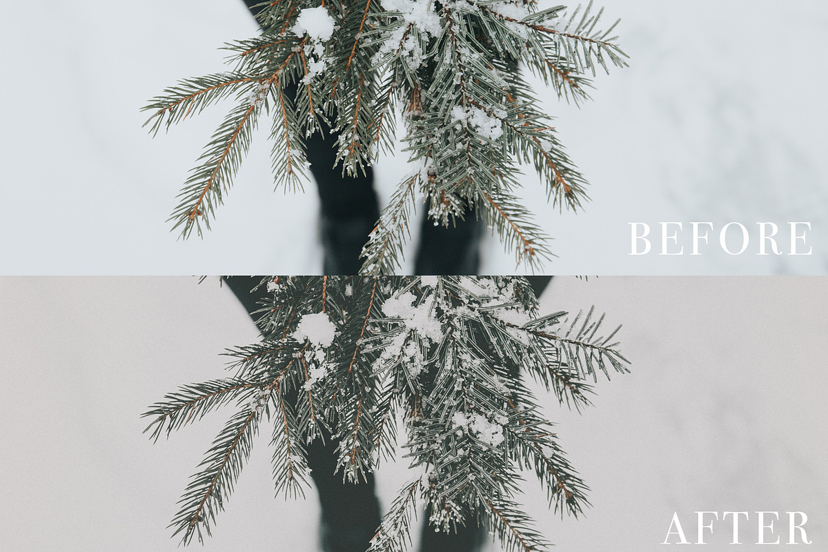 Mobile Lightroom Preset, an Action Add-On by The Red Pine (Photo 4 of 7)