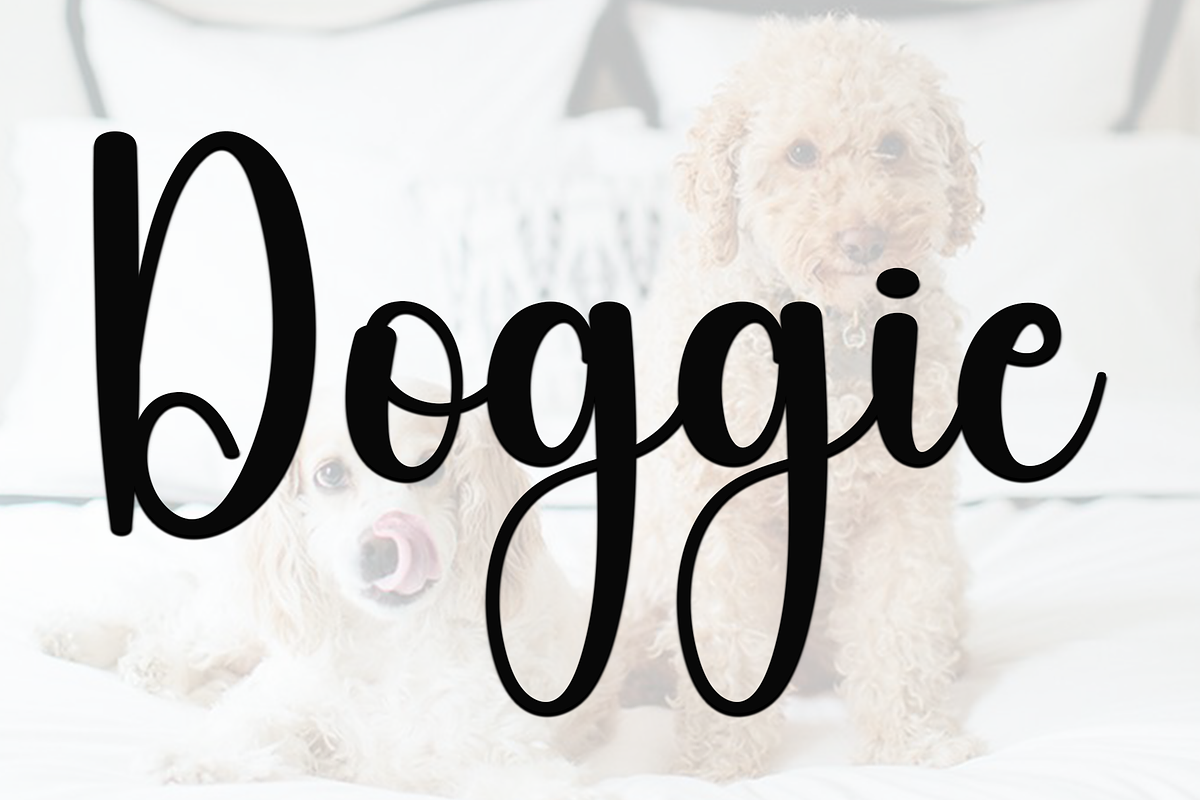 Lightning, a Handwritten Font by FreshTypeINK (Photo 4 of 7)